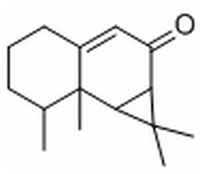 馬兜鈴?fù)?/></div>
								  <div   id=