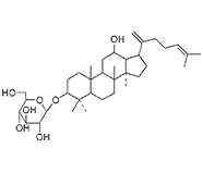 人參皂苷Rk2 CAS：364779-14-6