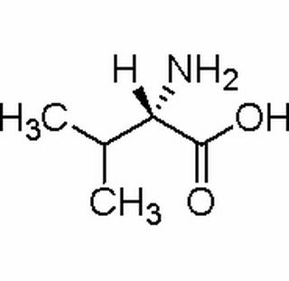 L-纈氨酸 CAS: 72-18-4 中藥對照品標準品