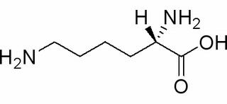 L-賴氨酸 CAS:56-87-1 中藥對照品標準品
