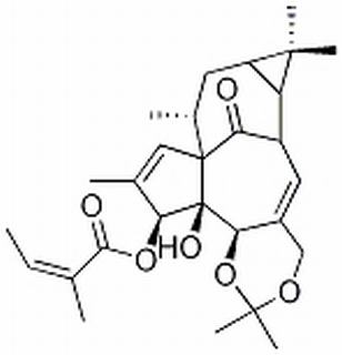 巨大戟醇-5,20-縮丙酮-3-當歸酸酯 CAS： 87980-68-5 中藥對照品