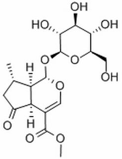 馬鞭草苷 CAS：548-37-8 中藥對照品標準品