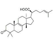 β-欖香酮酸 CAS：28282-25-9 中藥對照品 標(biāo)準(zhǔn)品