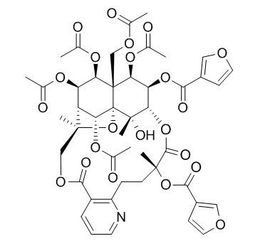 Triptonine B CAS：168009-85-6 中藥對照品標準品