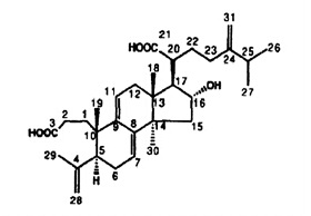 茯苓新酸A CAS：137551-38-3