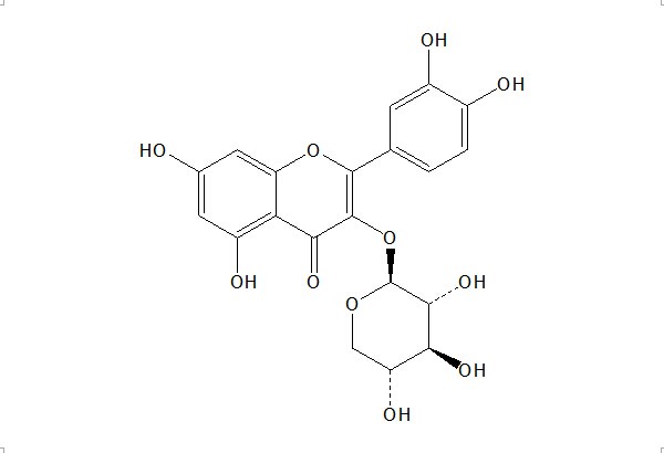 槲皮素-3-O-β-D-木糖甙 CAS：549-32-6 中藥對照品 標準品