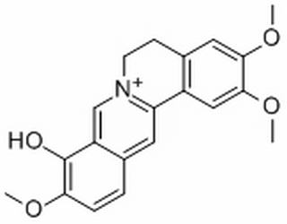 巴馬亭紅堿 CAS：16176-68-4 中藥對照品標準品