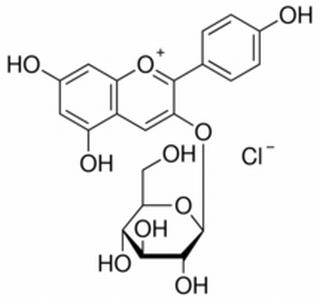 天竺葵素-3-氯化葡萄糖苷 CAS：18466-51-8 中藥對照品標準品	