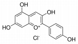 天竺葵素（氯化花葵素） CAS：134-04-3 中藥對照品標準品	