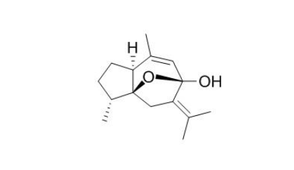 4-表-莪術醇CAS：350602-21-0 中藥對照品標準品