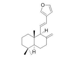 狗牙花堿E CAS：117591-81-8 中藥對(duì)照品標(biāo)準(zhǔn)品