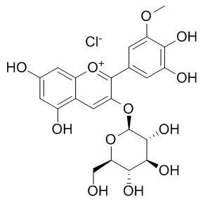 矮牽牛素-3-O-葡萄糖苷 CAS號：6988-81-4 對照片 標準品