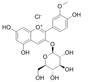 氯化芍藥素-3-O-葡萄糖苷 CAS號：6906-39-4 對照品 標準品