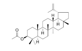 乙酰羽扇豆醇酯 CAS號：1617-68-1 中藥對照品標(biāo)準(zhǔn)品