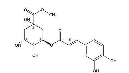 3-咖啡酰奎尼酸甲酯 CAS號：123483-19-2 中藥對照品標準品