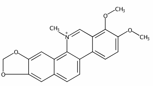 鹽酸白屈菜紅堿 CAS號：3895-92-9 中藥對照品標(biāo)準(zhǔn)品