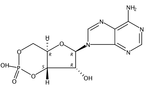 環(huán)磷腺苷CAS號(hào)：60-92-4 中藥對照品標(biāo)準(zhǔn)品