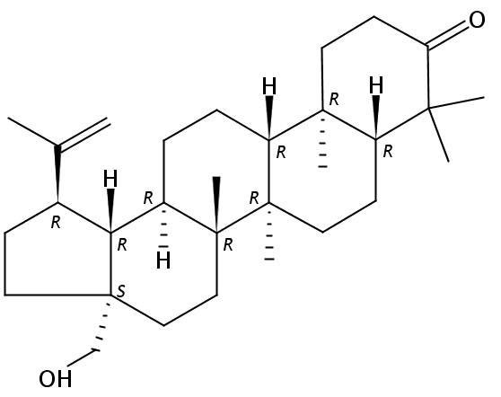 Betulone  CAS號：7020-34-0 中藥對照品標準品