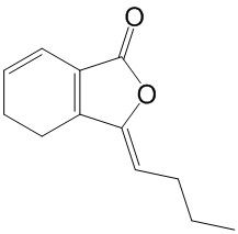  藁本內酯 CAS：81944-09-4 中藥對照品 標準品