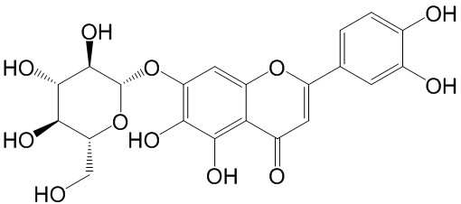 6-羥基木犀草苷 CAS：54300-65-1中藥對照品標(biāo)準(zhǔn)品