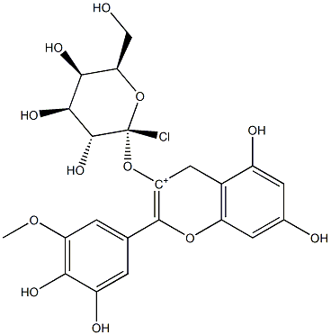 矮牽牛素-3-O-半乳糖苷 CAS：28500-02-9 中藥對照品標準品