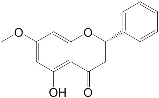 球松素;?喬松酮 | CAS No.480-37-5