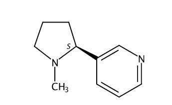 煙堿 | CAS No.54-11-5