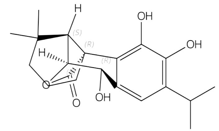 馬兜鈴內酰胺 IIIa | CAS No.97399-89-8