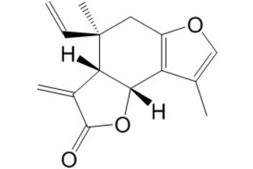 異烏藥內酯 丨CAS No.957-66-4