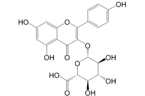 山柰酚-3-O-β-D-葡萄糖醛酸苷 丨CAS No.22688-78-4