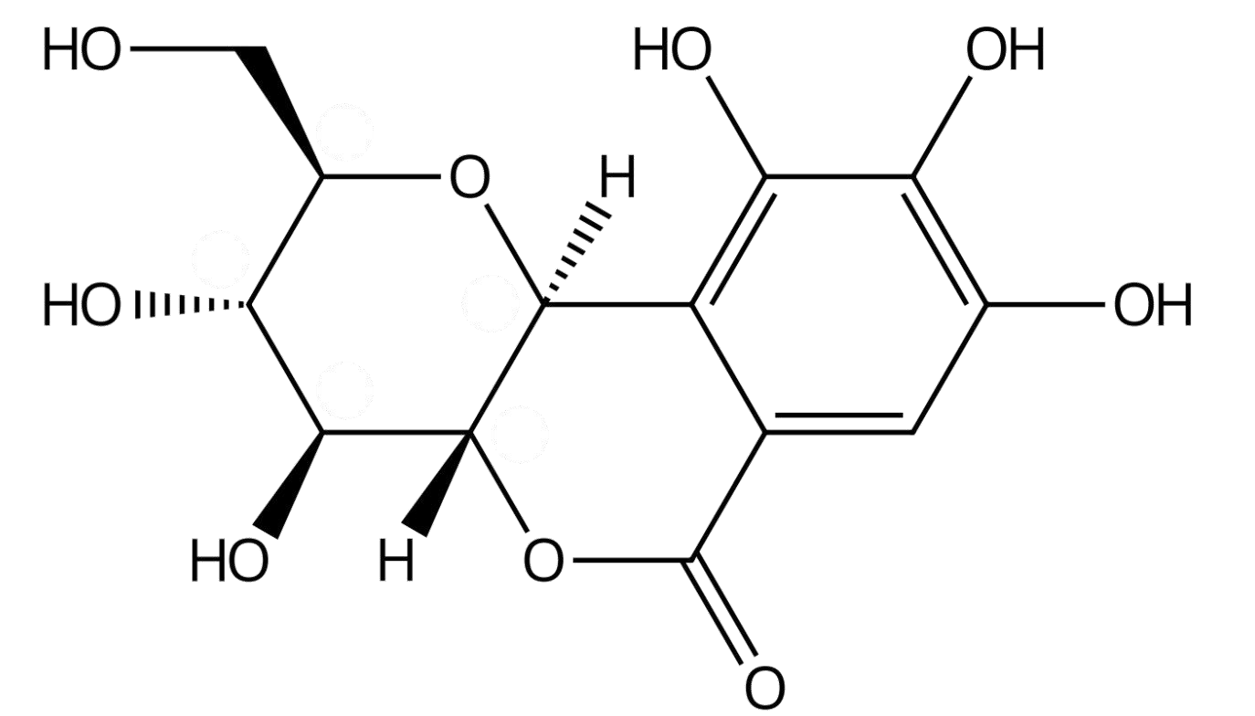 去甲巖白菜素 丨CAS No.79595-97-4