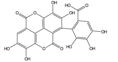 Flavogallonic acid dilactone 丨CAS No.103744-88-3