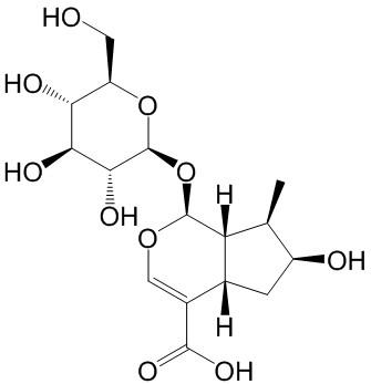 馬錢苷酸 CAS：22255-40-9 中藥對照品標(biāo)準(zhǔn)品