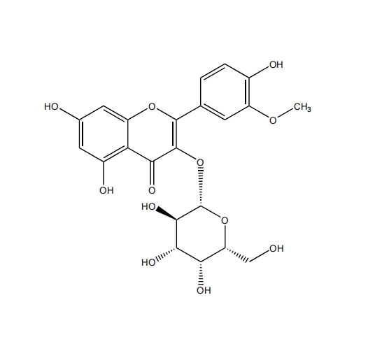 異鼠李素-3-O-半乳糖苷 CAS：6743-92-6中藥對照品標準品