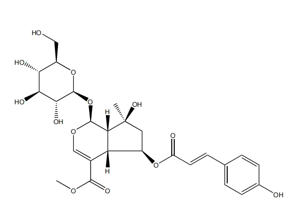 6-O-反式對(duì)香豆酰山梔苷甲酯 | CAS No.1246012-26-9