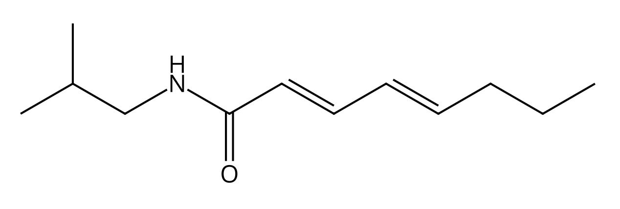 (2E,4E)-N-(2-Methylpropyl)-2,4-octadienamide | CAS No.23512-47-2